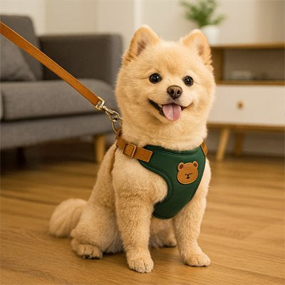confort optimal d'un harnais pour petit chien