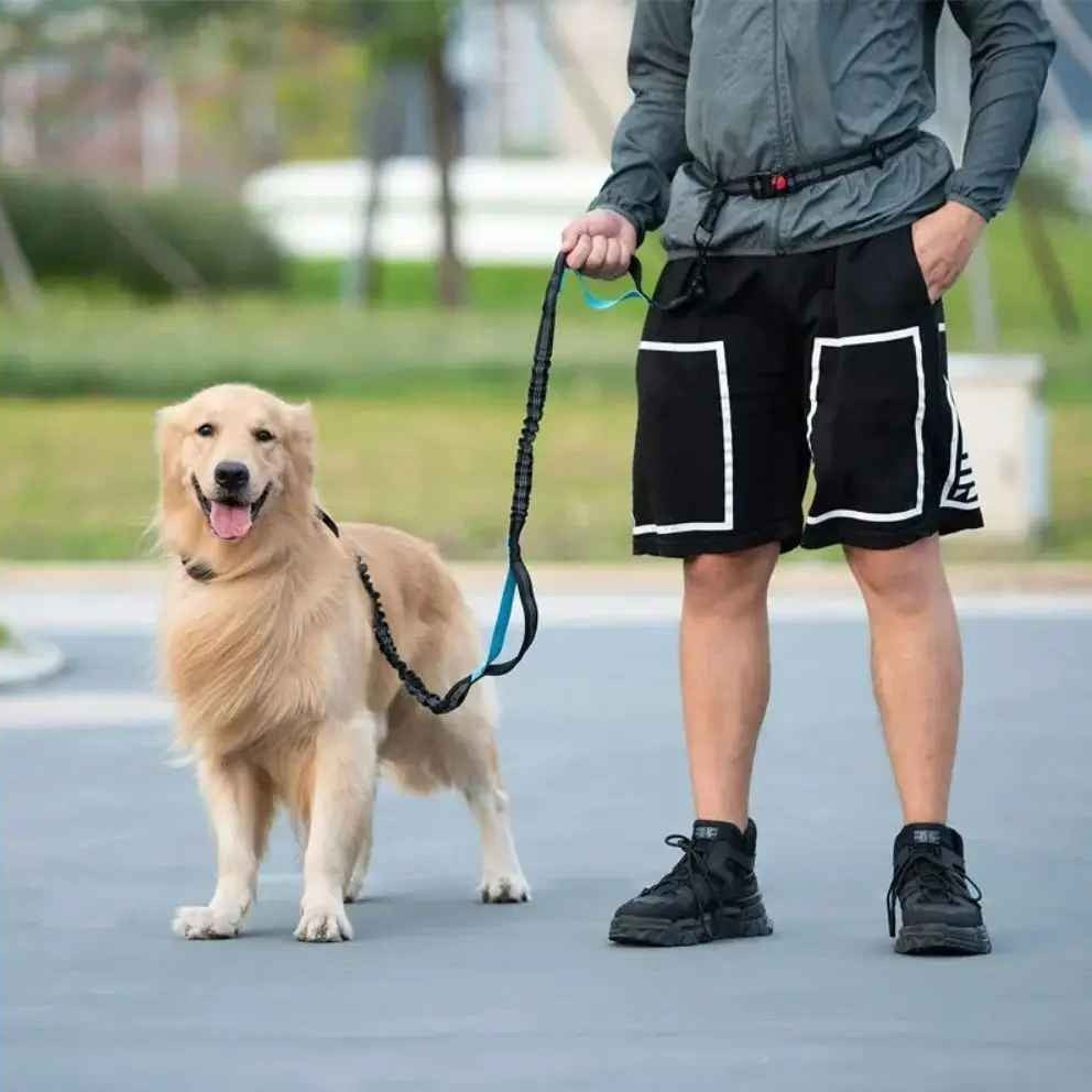 Laisse main libre chien / Double , Simple laisse multiple usage