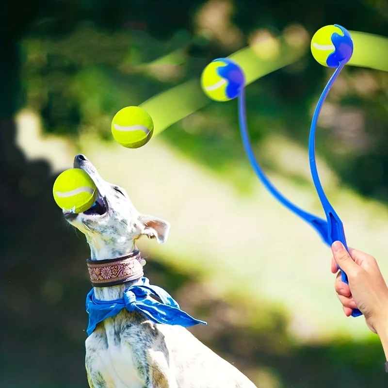 Jouet pour chien Wouf'n'Go™ : le lanceur qui transforme les jeux