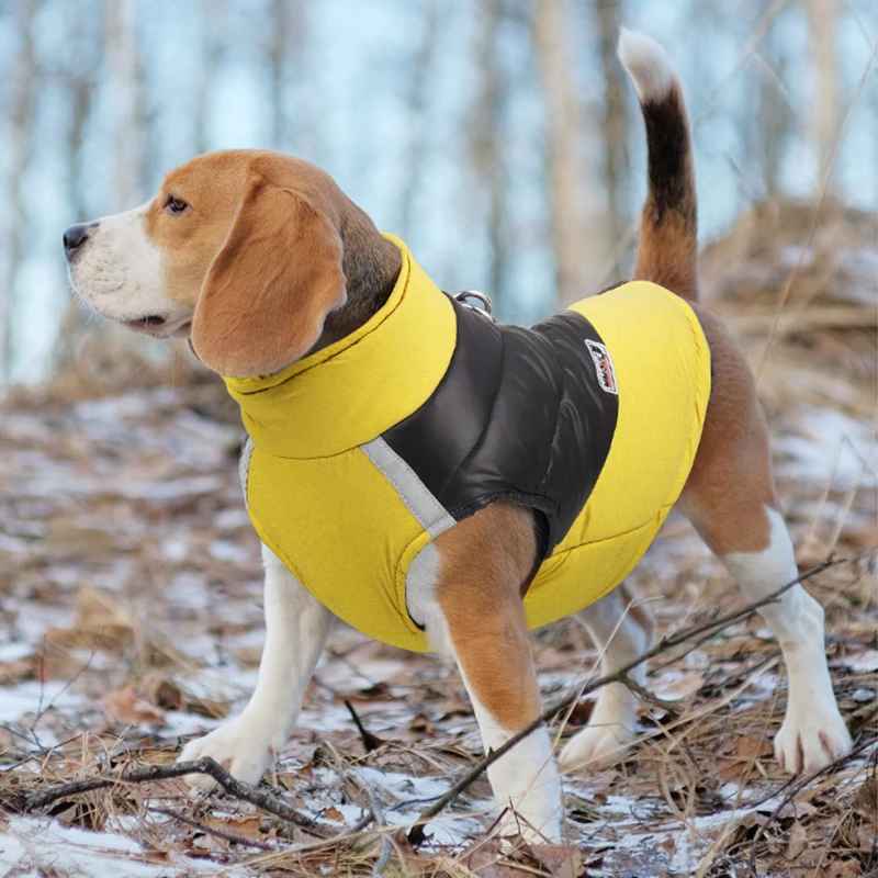 VĂȘtement chien | Douillette Toutes Saisons