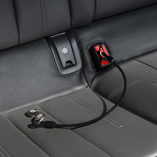 Laisse pour Chien/ Attache Auto Universelle - Jappy Toutou