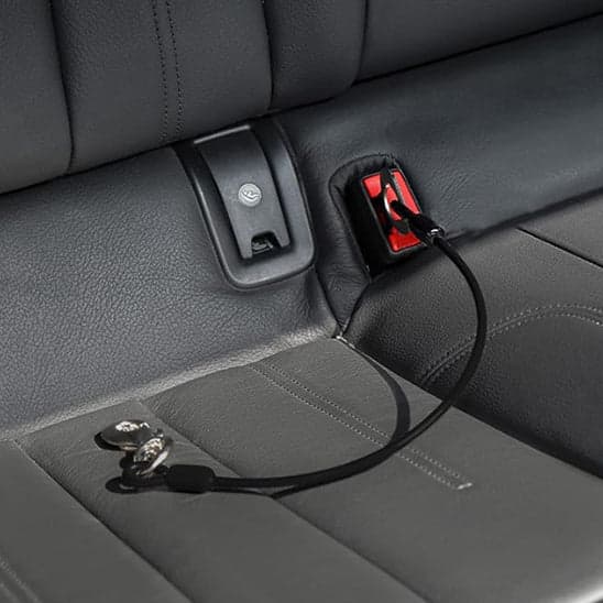 Laisse pour Chien/ Attache Auto Universelle - Jappy Toutou