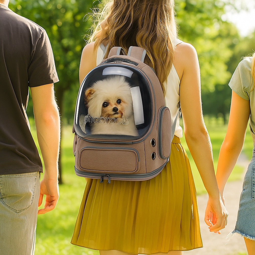 Un Sac transport chien WoufTrip⹠fraßcheur bien méritée pour le dos de votre chien⊠et le vÎtre!
