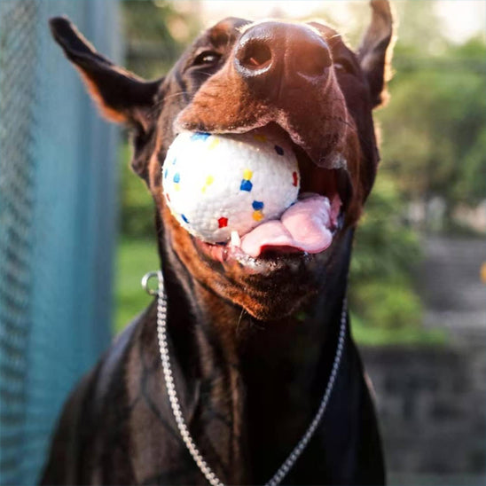 balle pour chien- YoupiBalle™ fascine tant, pour gros mâcheur