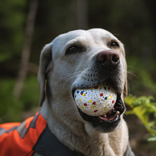 balle pour chien- YoupiBalle™ fascine tant, lave facilement