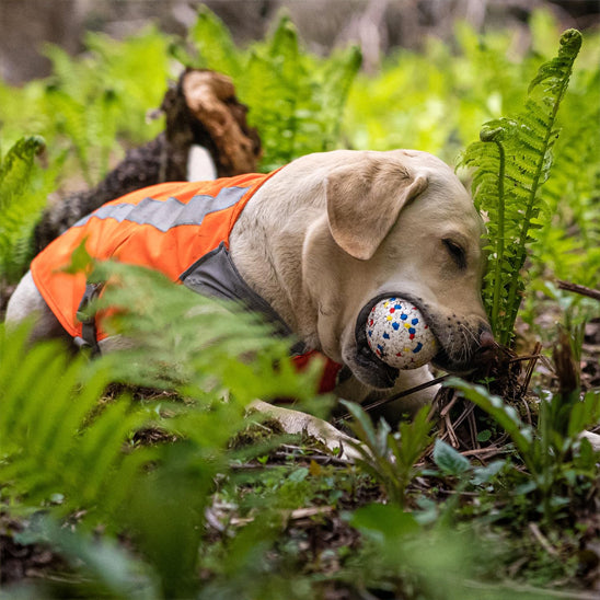 balle pour chien- YoupiBalle™ fascine tant les chiens partout autant dans le bois