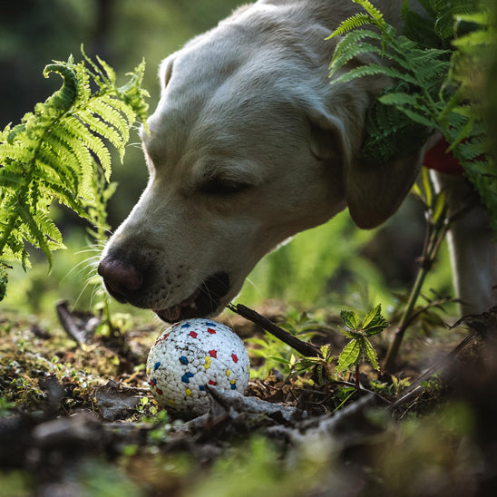 balle pour chien- YoupiBalle™ fascine tant, lave facilement