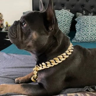 Bandit collier chien-ChicBandit™ sublime tous les styles canins