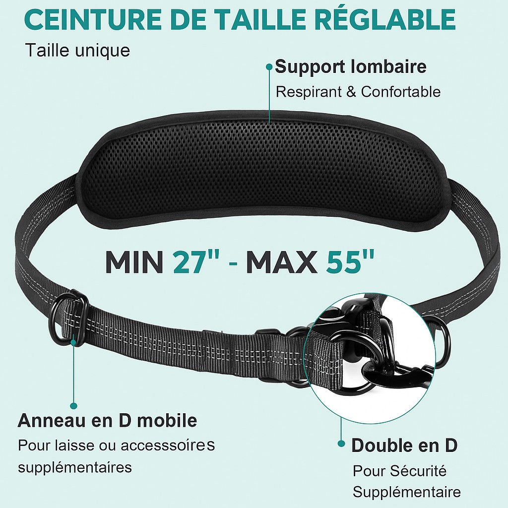 Laisse main libre chien-