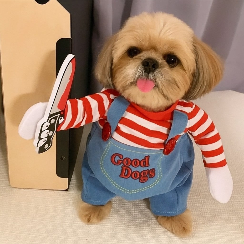une expérience réussie avec un vêtement pour chien / déguisement Halloween