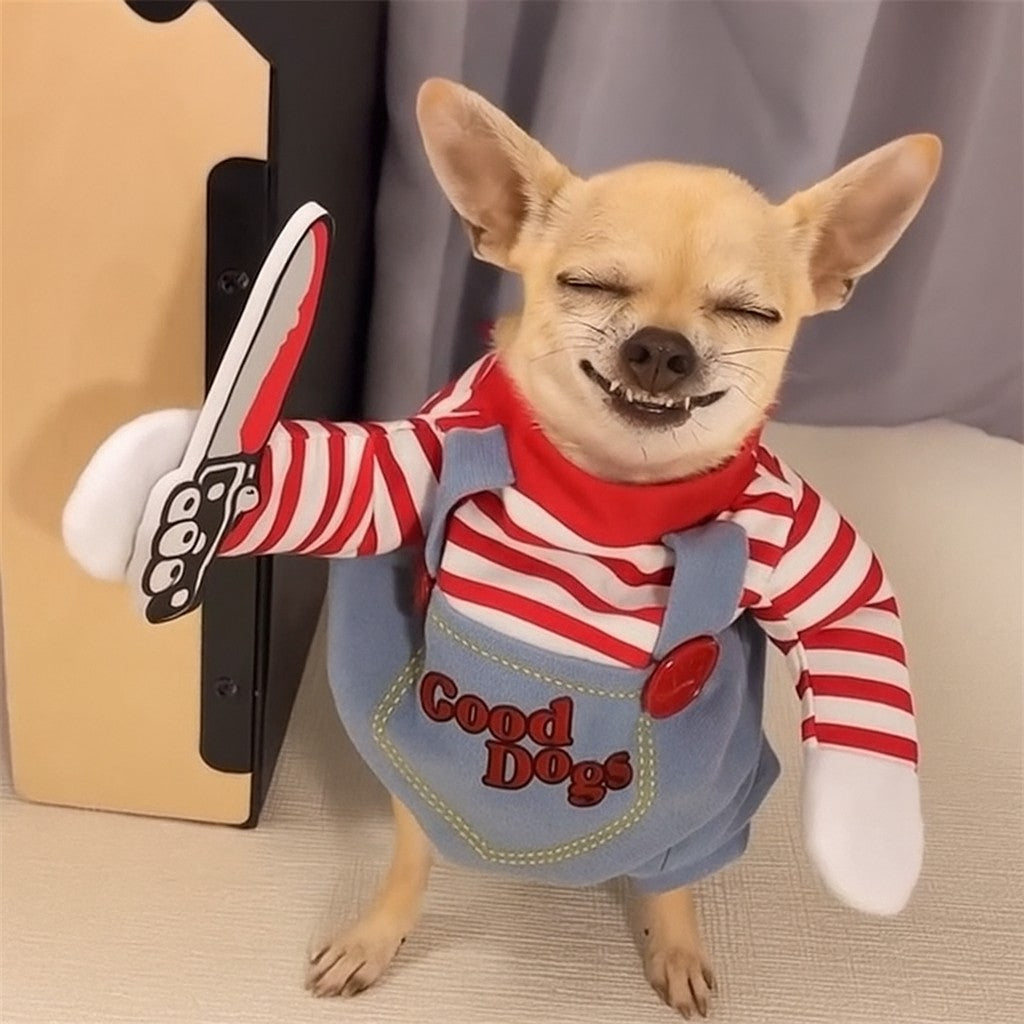 une expérience réussie avec un vêtement pour chien / déguisement Halloween