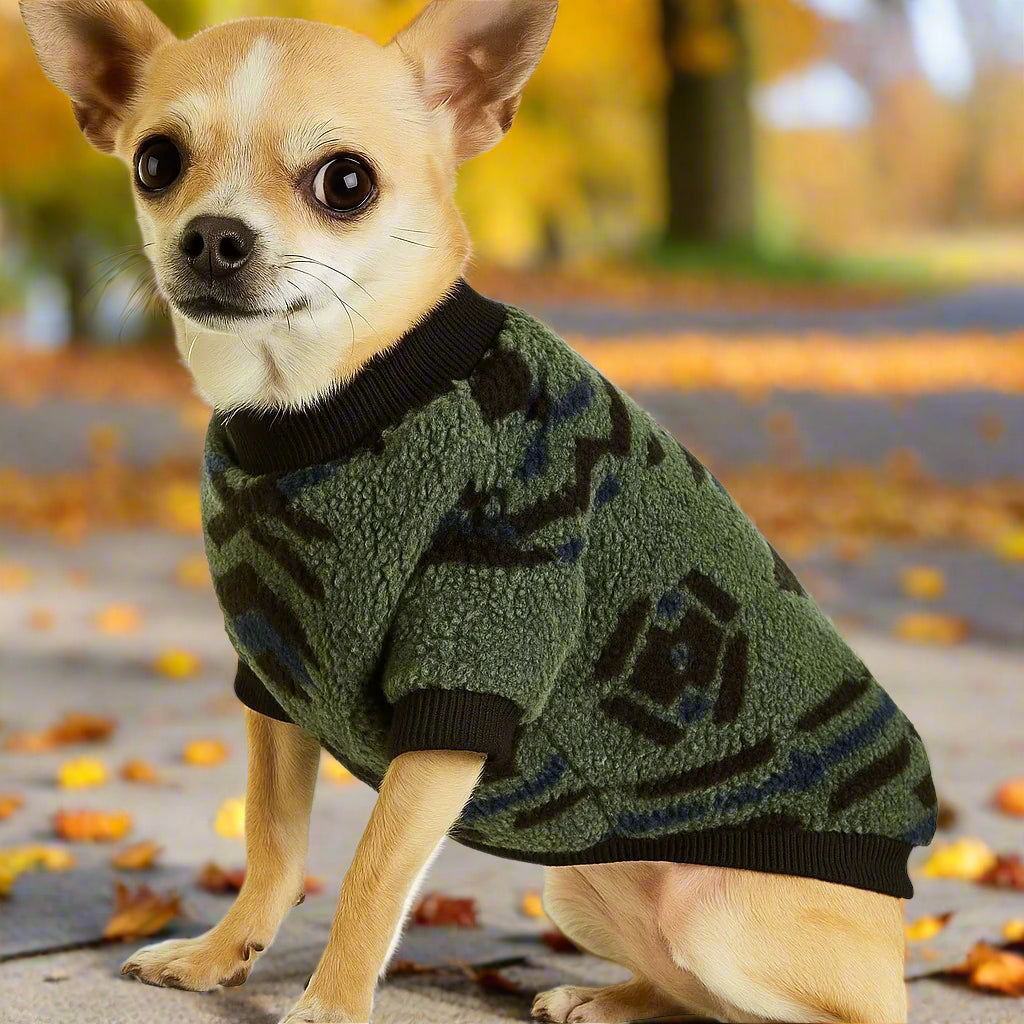pull pour chien idéal : matiÚres et confort