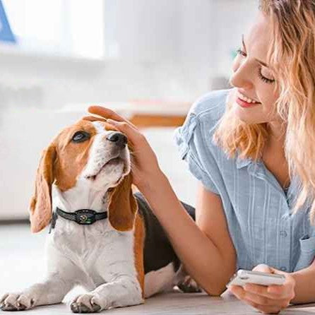 Collier anti aboiement-ÉducaDog™ respectueux