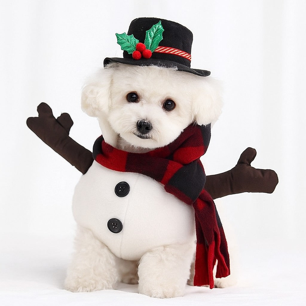Déguisement chien : un Halloween inoubliable