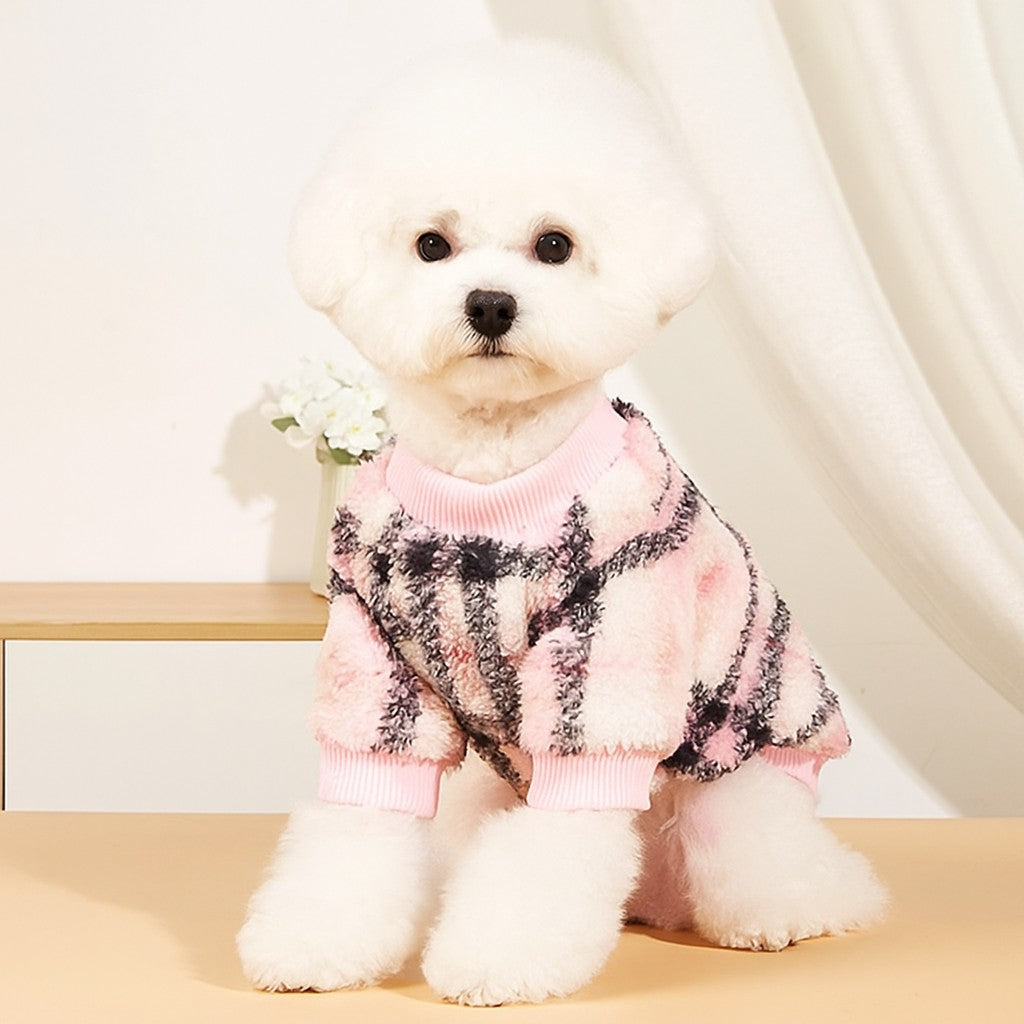 Pull pour chien : Le vêtement parfait pour une bonne chaleur