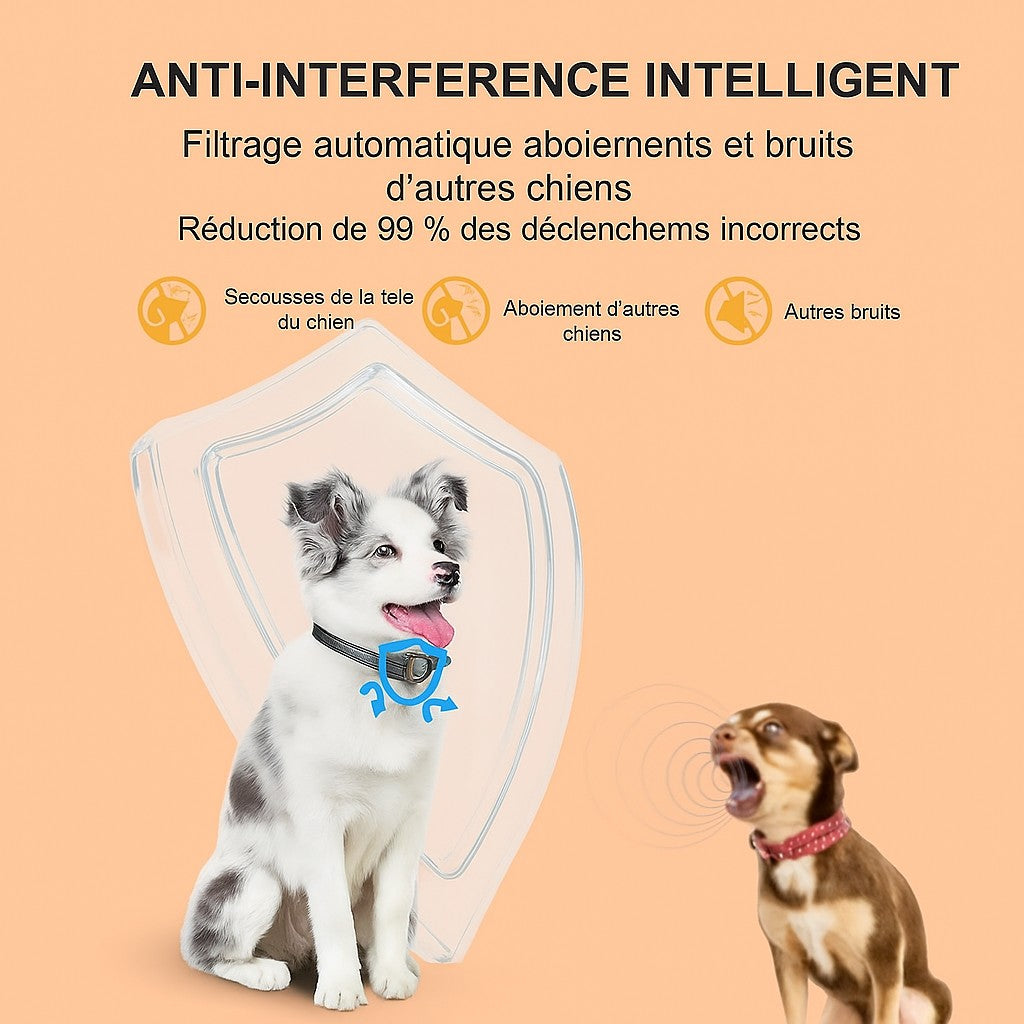 Collier anti aboiement-ÉducaDog™ respectueux-Intelligent