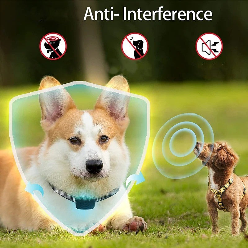 Collier anti aboiement Chien : La Solution Efficace pour toutes balades - Jappy Toutou