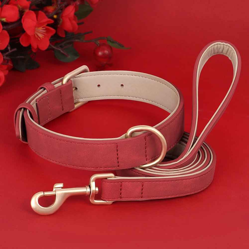 Collier chien Câlin™ Set Rouge
