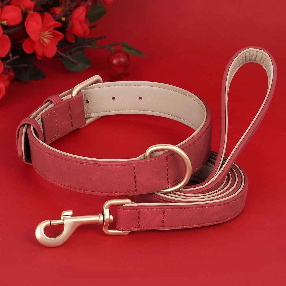 Collier chien : Câlin™ Confort, élégance pour toutou - Jappy Toutou