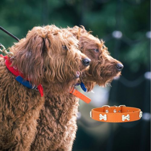 Collier en cuir pour chien Vif Doux™, L'élégante décoration en forme d'os