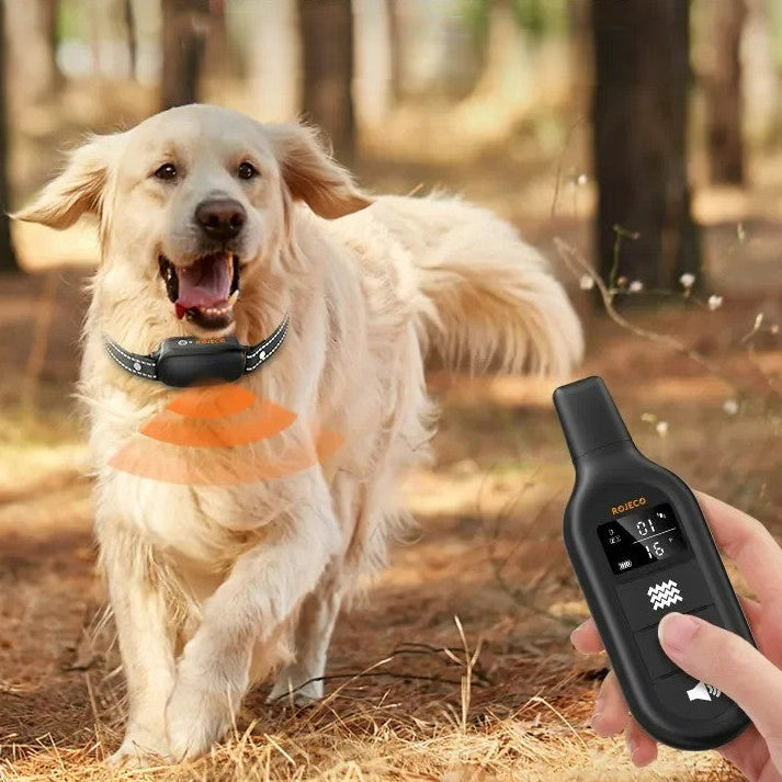 Collier de dressage chien toute grandeur toute élégance -ContrÎle à distance
_www.jappytoutou.com