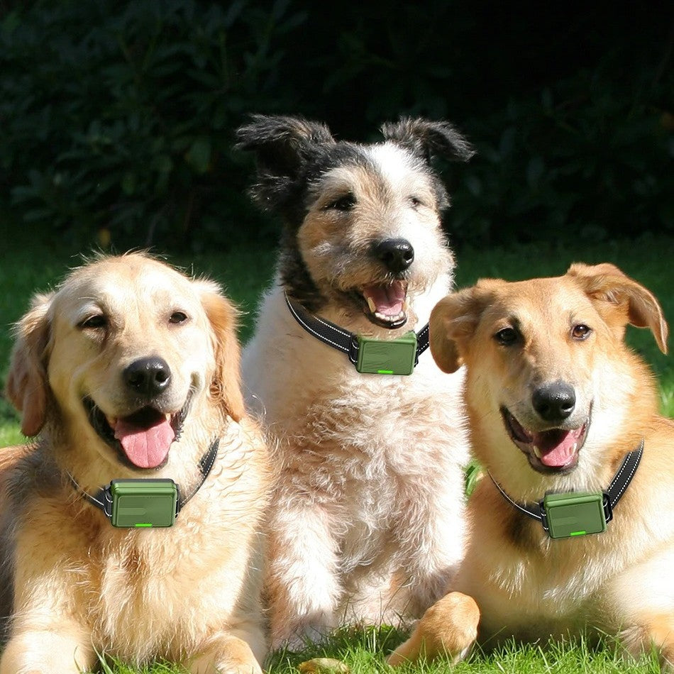 Collier de dressage pour chien - anti aboiement Dress'Woufâą Multi-chien