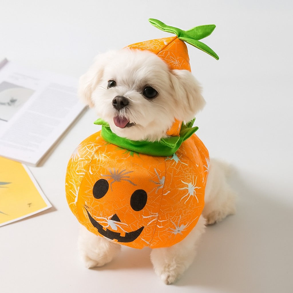 DĂ©guisement chien Halloween Terrifiant prĂȘt Ă effrayer et amuser votre entourage
