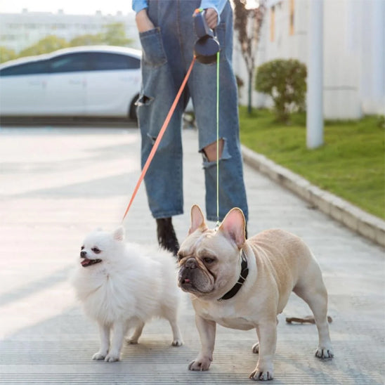 Double laisse pour chien-Laisse'2'Go™ : Promenades simplifiées pour deux chiens avec Double_laisse_pour_chien_Laisse_2_Go