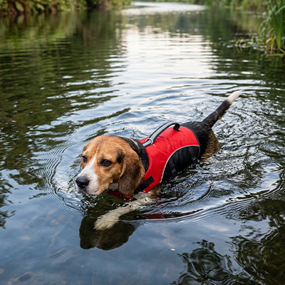 Gilet de sauvetage Chien • NageToutou™ : rouge, dans une rivière