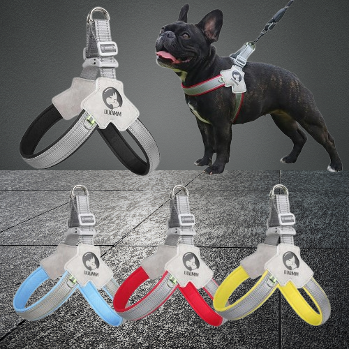 Harnais_Y_toute_grandeur-multicouleur