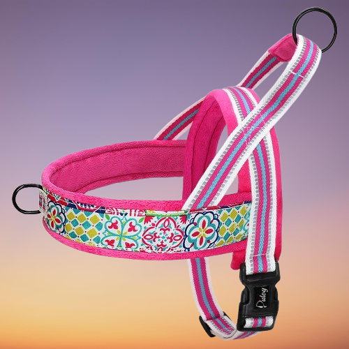 Harnais en Y durabilité, choix écologique, responsable-Stylisé-rose-fleuri