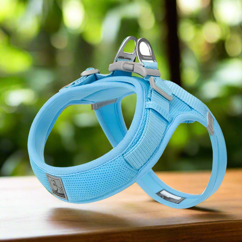 Harnais en y - BLEU CIEL- PETIT MOYEN GRAND CHIEN
www.jappytoutou.com