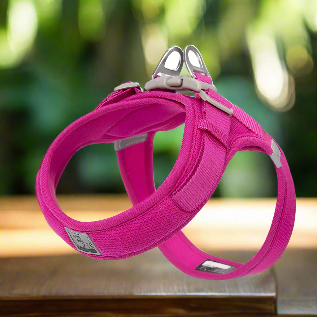 Harnais en y - FUCHSIA - PETIT MOYEN GRAND CHIEN