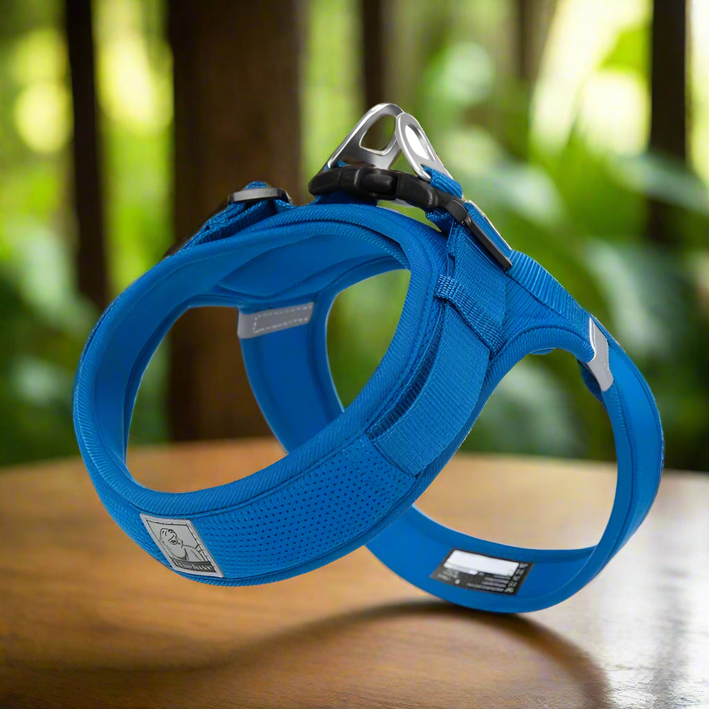 Harnais en y - BLEU ROYAL - PETIT MOYEN GRAND CHIEN
www.jappytoutou.com