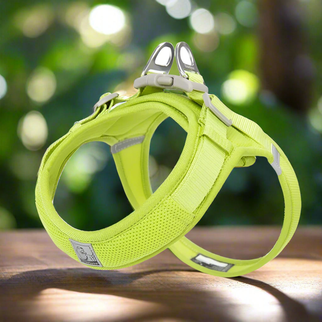 Harnais en y - VERT LIME - PETIT MOYEN GRAND CHIEN
www.jappytoutou.com