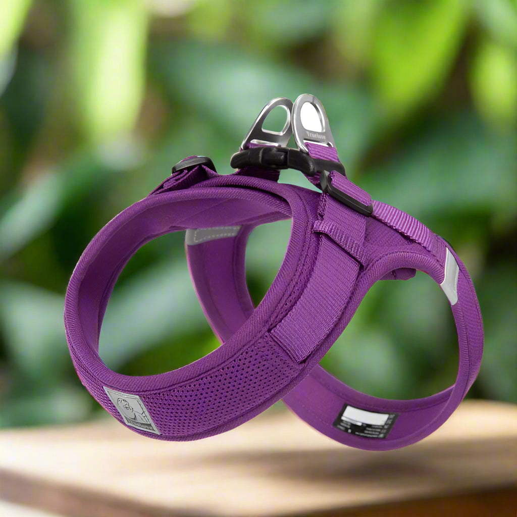 Harnais en y - VIOLET - PETIT MOYEN GRAND CHIEN
www.jappytoutou.com