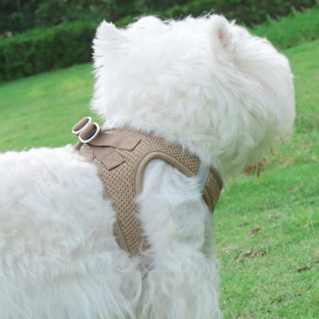 Harnais petit chien Souplesse et Confort Le meilleur pour votre animal de compagnie