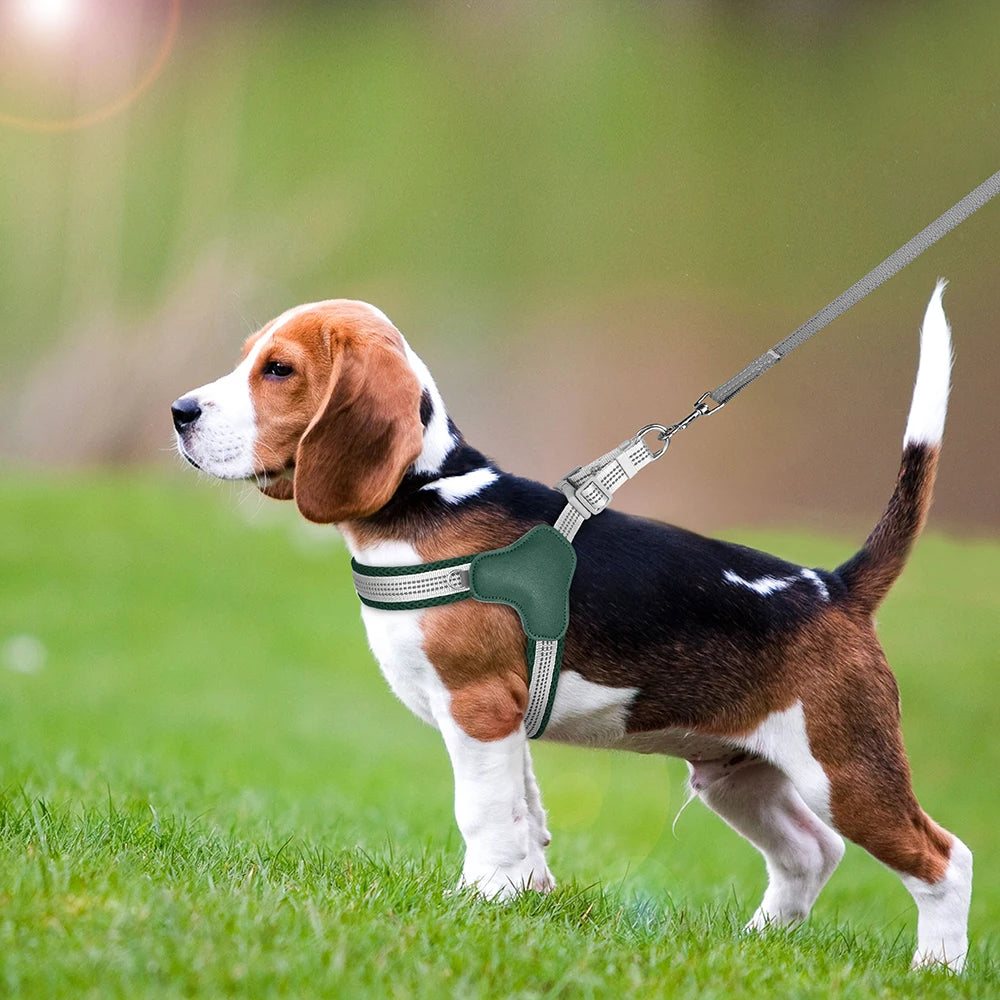 Harnais pour chien Trot'Toutou™ vert marche dans le parc sereine