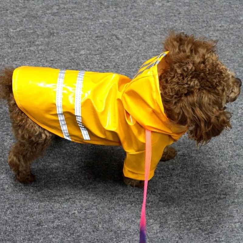 manteau imperméable pour chien combine harmonieusement protection efficace et design contemporain.