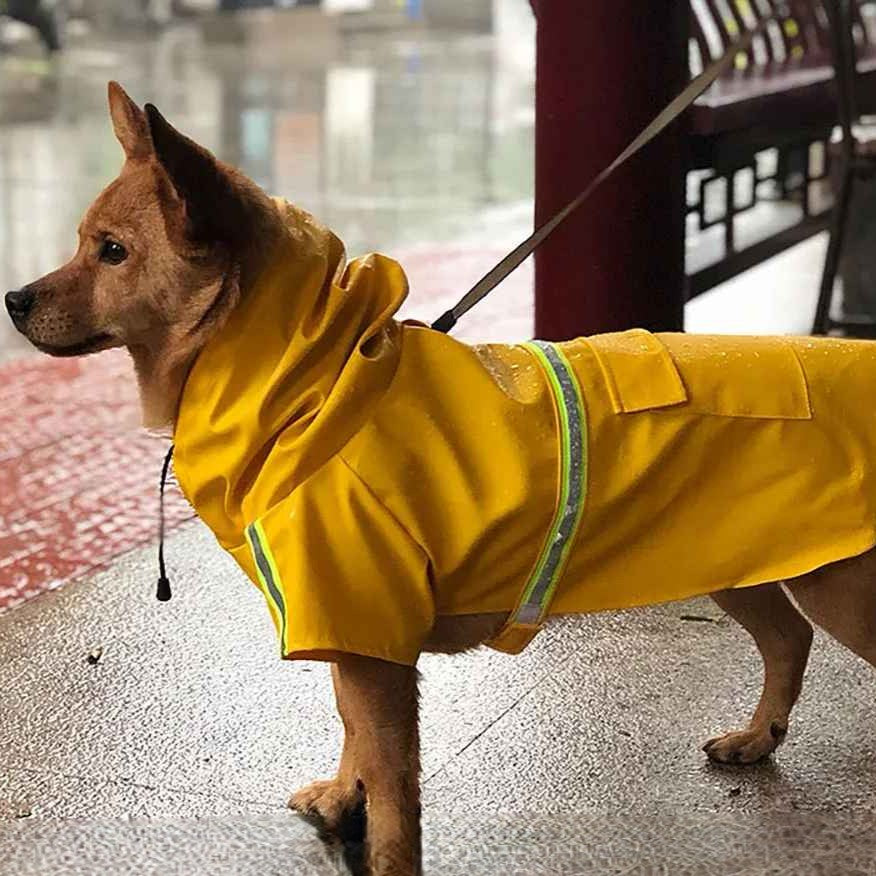 manteau imperméable pour chien combine harmonieusement protection efficace et design contemporain.
