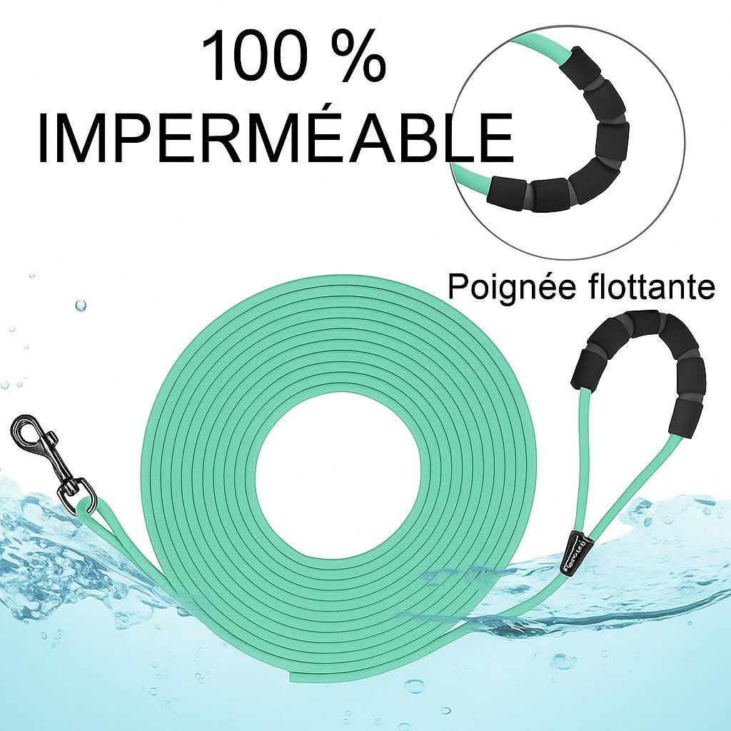 Longe pour chiot : votre allié tout-terrain, toutes activités