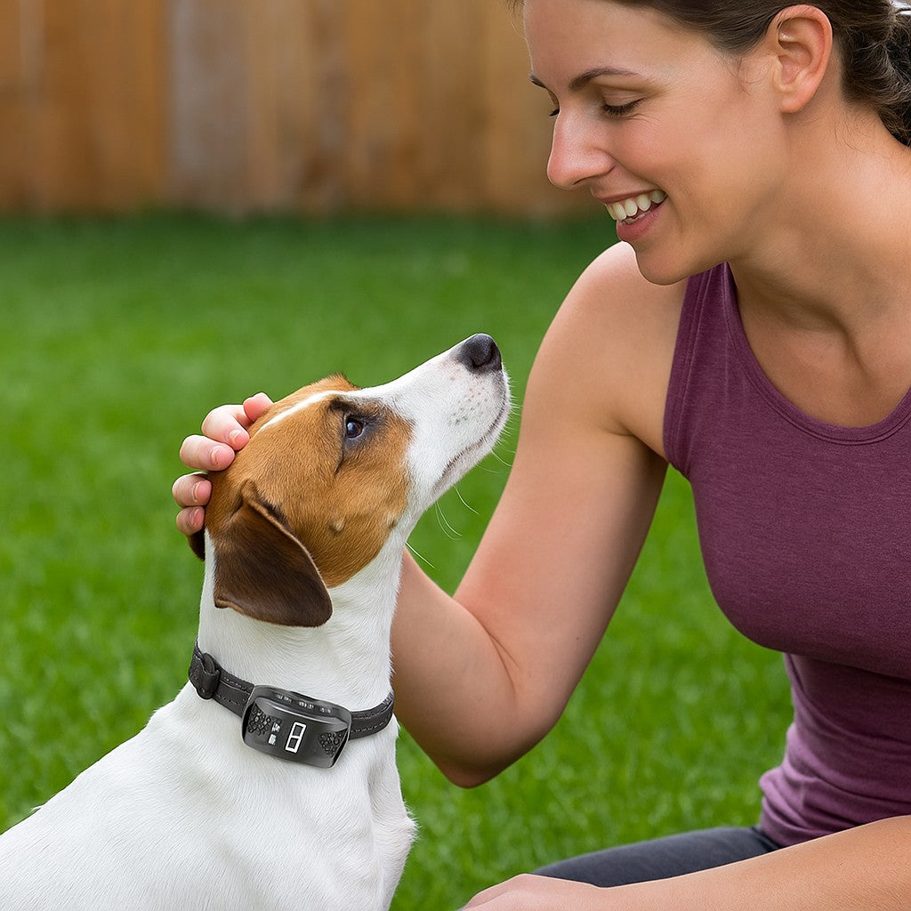 Collier de dressage pour chien : Transforme le Comportement en jeux