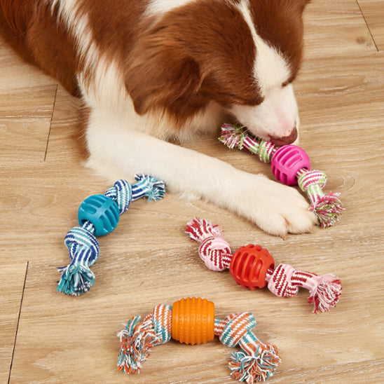 le Jouet chien GrosMord'Corde™ multicouleur
