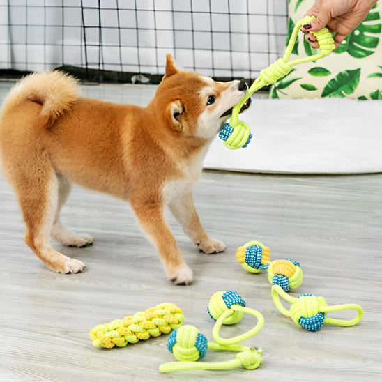 Jouet chien Tire-Truffe™ corde forme balle attachée ensemble Pack Varié