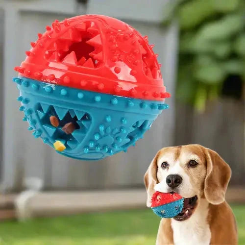Jouets pour chien, Croc'Dur™ : le meilleur jeu à mâcher pour toutou - Jappy Toutou