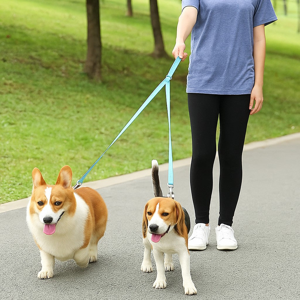 Laisse double pour chien-Tandem Poiluâą
