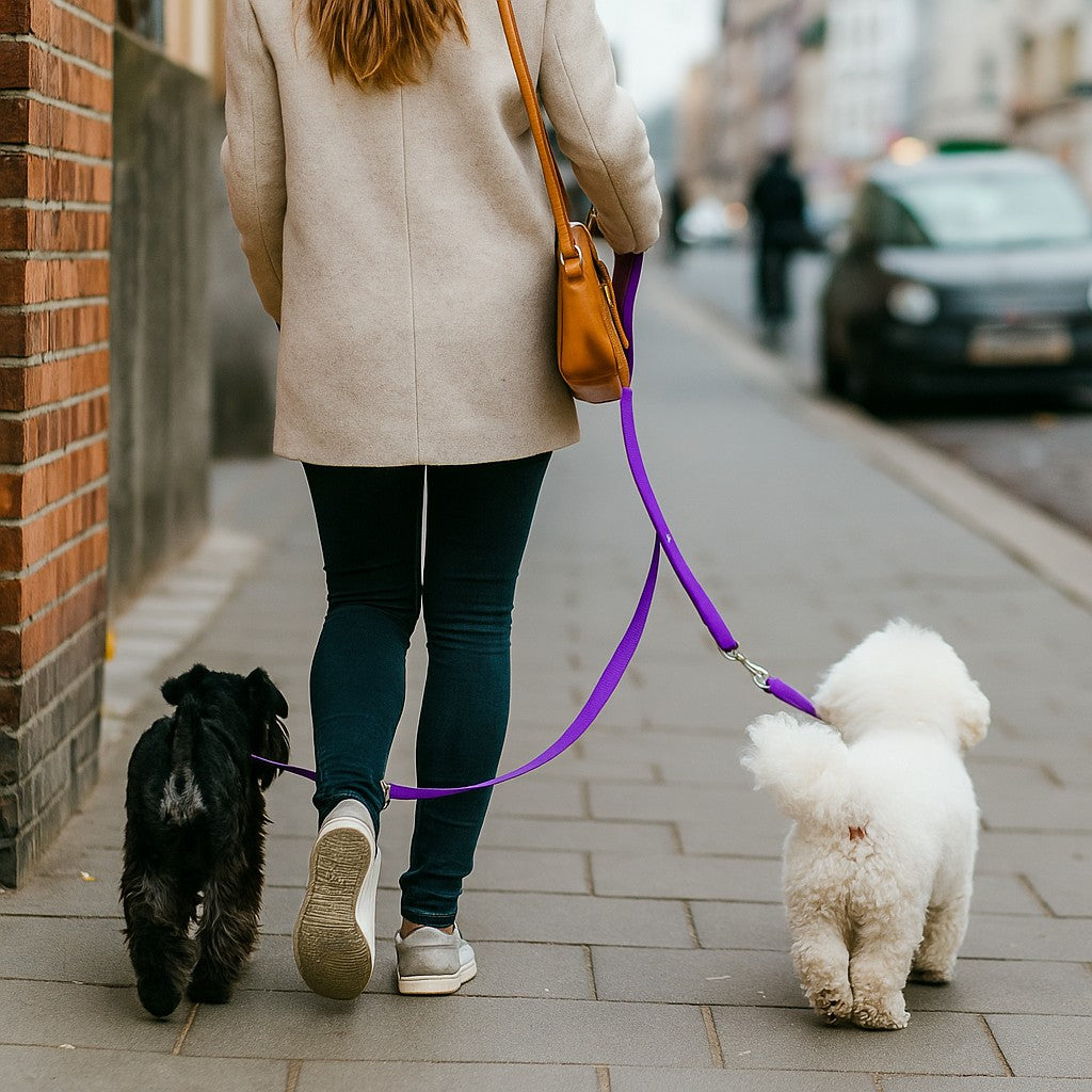 Laisse double pour chien MARCHE ou assis EN Tandem
