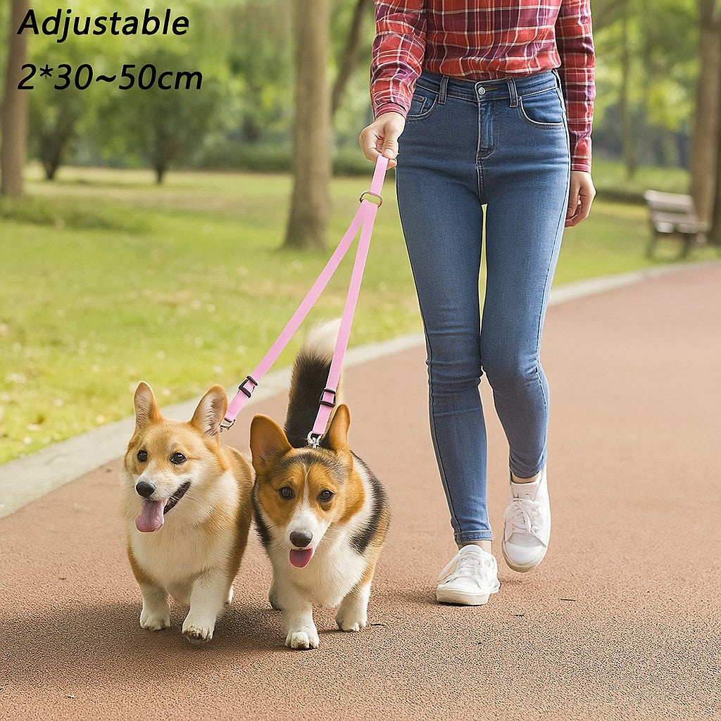 Laisse double pour chien MARCHE ou assis EN Tandem