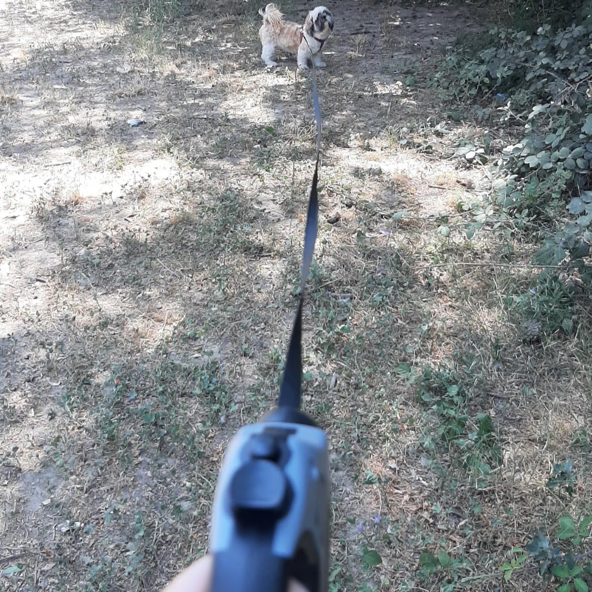 Laisse pour chien RetracLeash™- gris-noir