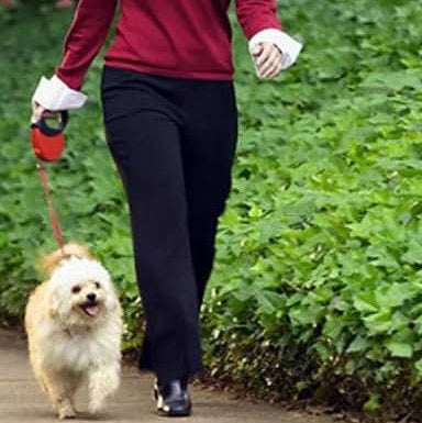 Laisse pour chien-RetracLeash™- rouge